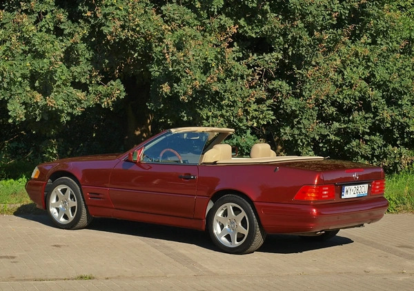 Mercedes-Benz SL cena 80000 przebieg: 115000, rok produkcji 1997 z Warszawa małe 781